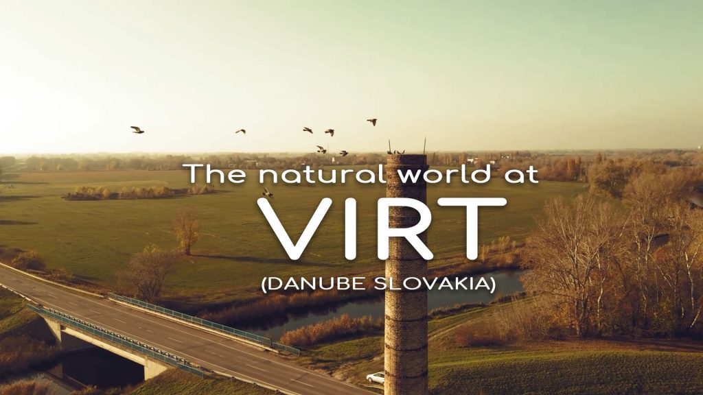 V I R T -The natural world-VIDEO