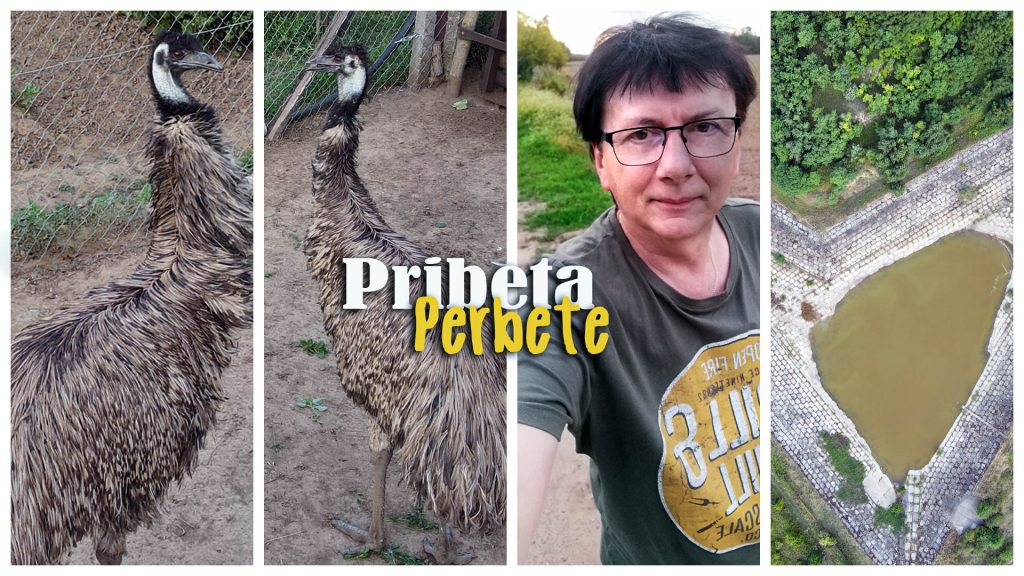 Perbete-Pribeta